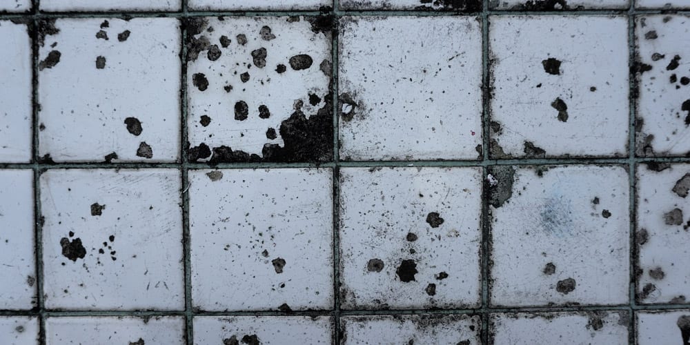 Tile Water Damage Repair